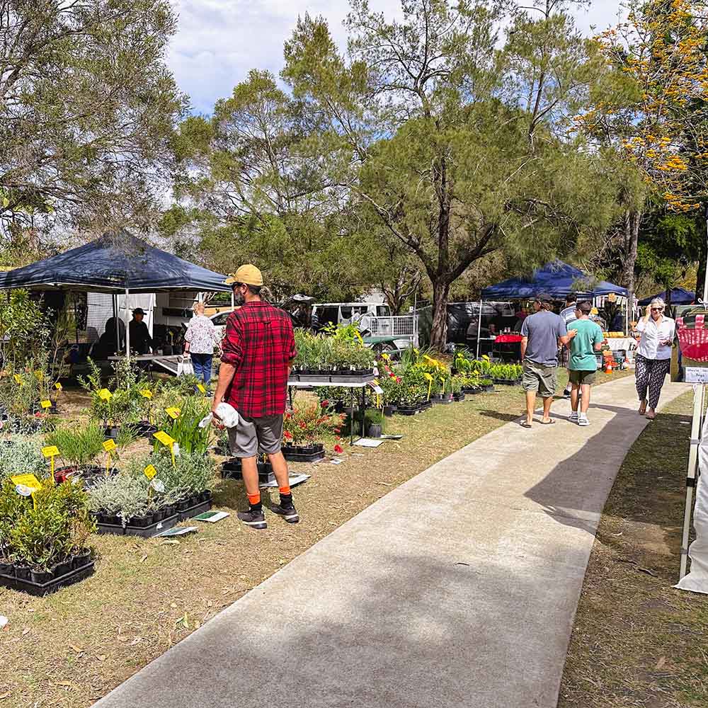 Lots of plants on display at Beaudesert Markets