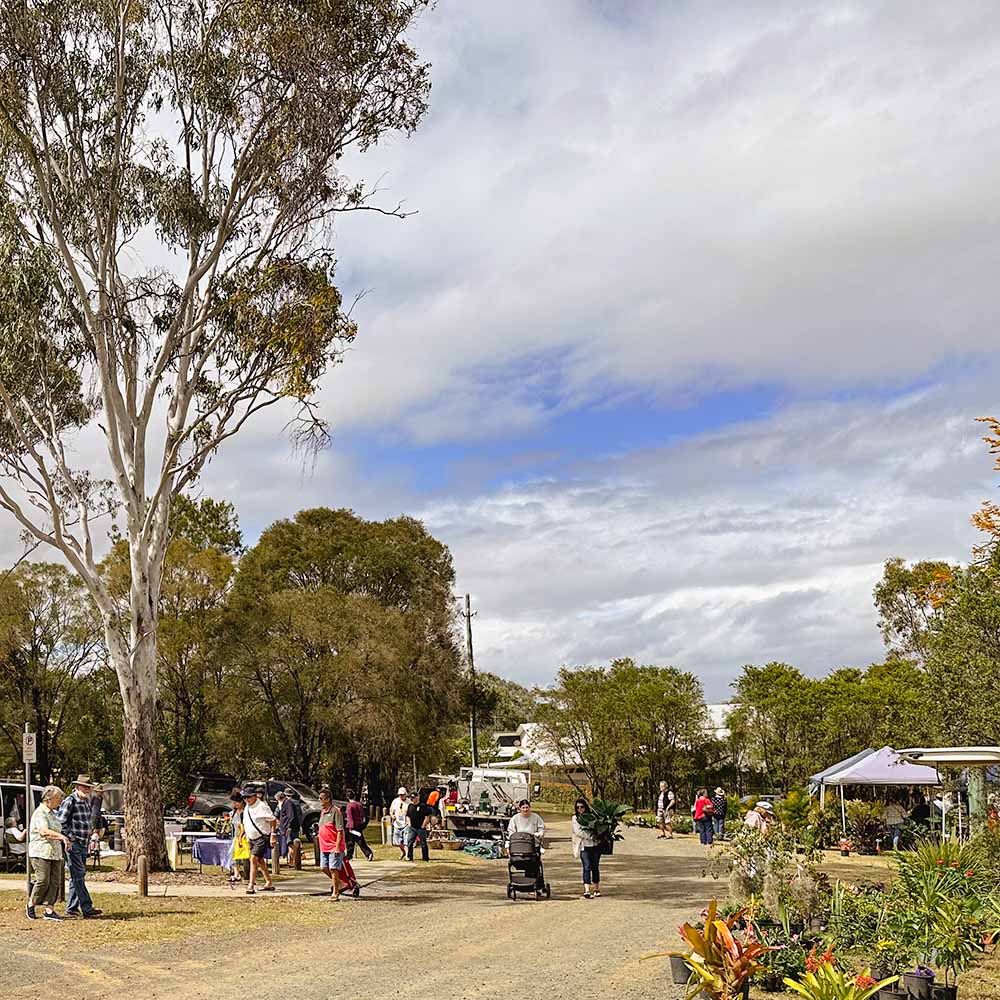 Lower end of the Beaudesert Markets in Dick Westerman Park
